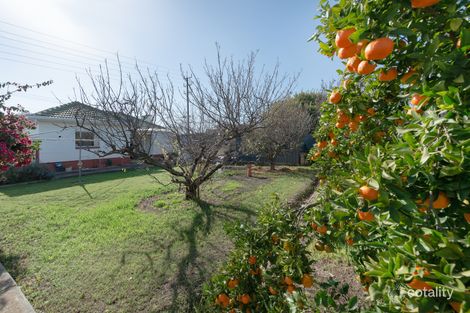 354 Grange Rd, Kidman Park, SA 5025