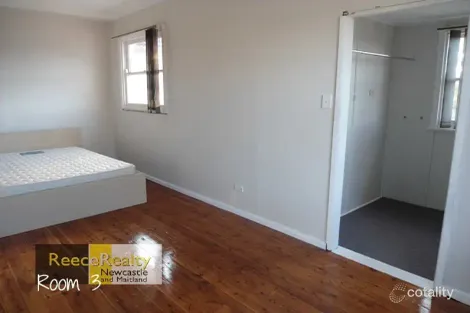 Property photo of 10 Adelaide Street Waratah West NSW 2298
