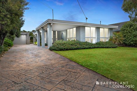 Property photo of 12 Braidwood Avenue Rosebud VIC 3939