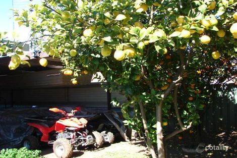 Property photo of 15 Osborn Avenue Muswellbrook NSW 2333