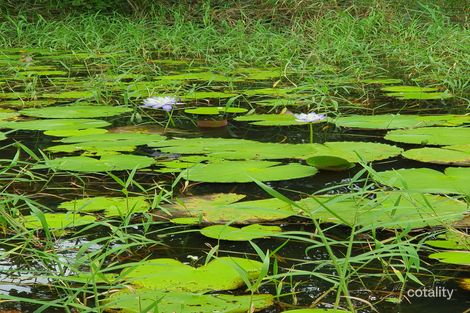 Property photo of 581R Whyanbeel Road Whyanbeel QLD 4873