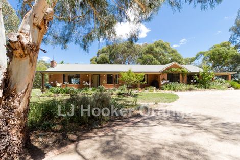 10 Don Peters Pl, Clifton Grove, NSW 2800