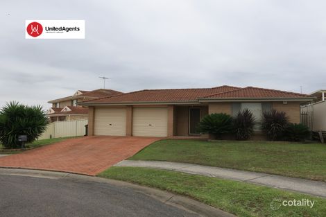 17 Wallis Cres, Cecil Hills, NSW 2171