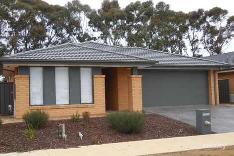 Property photo of 6 Eucalyptus Street Jackass Flat VIC 3556