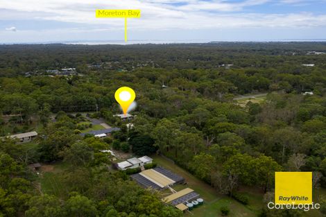 Property photo of 93 Warriewood Street Chandler QLD 4155