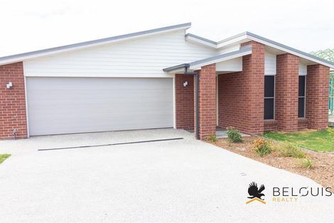 Property photo of 17 Wanaka Street Bahrs Scrub QLD 4207