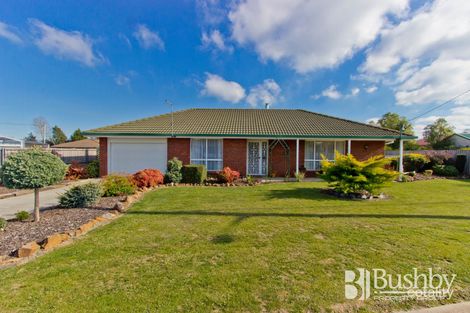 6 Cootamundra Dr, Perth, TAS 7300