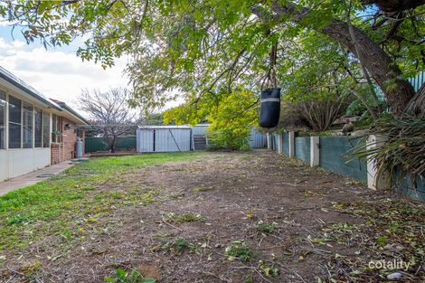 Property photo of 49 Woollybutt Way Muswellbrook NSW 2333