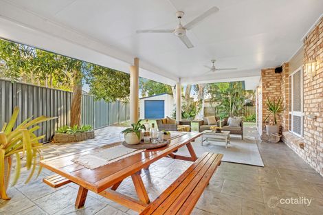 Property photo of 7 Shelley Court Andergrove QLD 4740