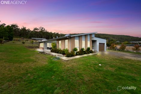 1 Mangana Dr, Tugrah, TAS 7310