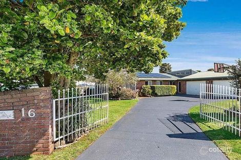 Property photo of 16 Cudgee Court Wilsonton Heights QLD 4350