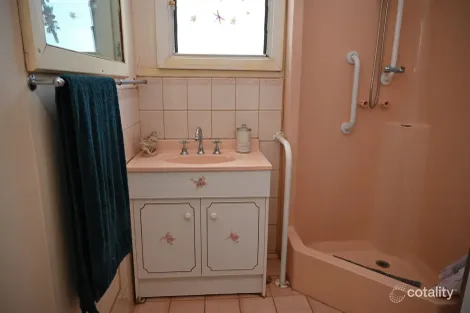 Property photo of 1 Tenth Street Morgan SA 5320