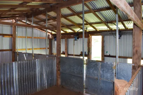 Property photo of 120 Melrose Plains Road Fifield NSW 2875