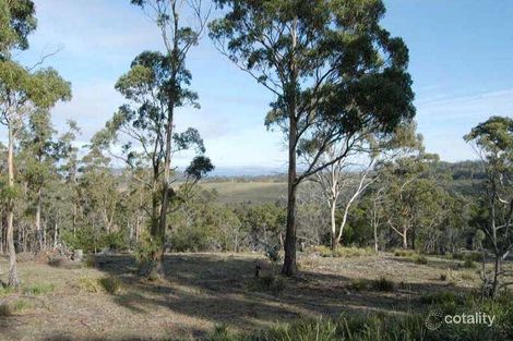 Property photo of 248 Sugarloaf Road Carlton River TAS 7173