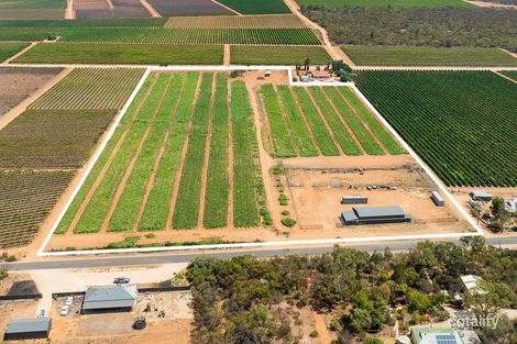 31 Rumball Rd, Winkie, SA 5343