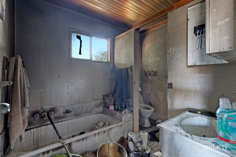 Property photo of 43 Maple Street Kingston QLD 4114