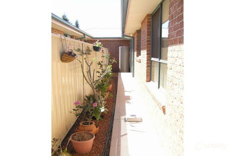 Property photo of 1/24 Belle Villa Parade Old Bar NSW 2430