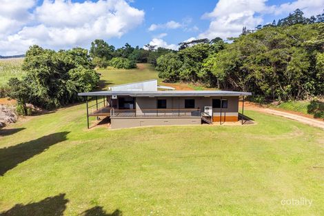 Property photo of 1071 Innisfail Japoon Road Camp Creek QLD 4871