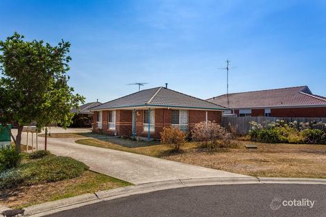 Property photo of 1/11 Kurrajong Court Grovedale VIC 3216