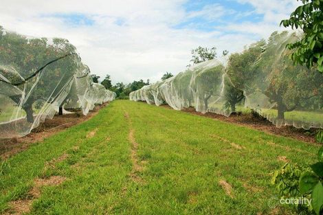 Property photo of 791 Murray Upper Road Murray Upper QLD 4854