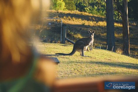Property photo of 22 Limousin Drive Lochiel NSW 2549