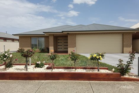 166 Pound Rd, Elliminyt, VIC 3250