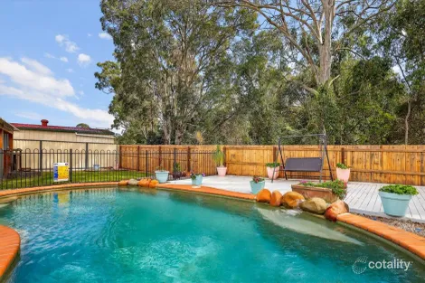 Property photo of 9 Newbury Crescent Lawnton QLD 4501