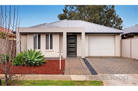 20 Scott Ave, Clovelly Park, SA 5042