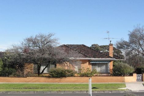 35 Richardson St, Essendon, VIC 3040