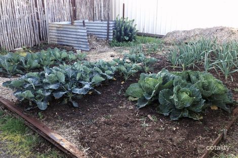 Property photo of 37 King Street Boort VIC 3537