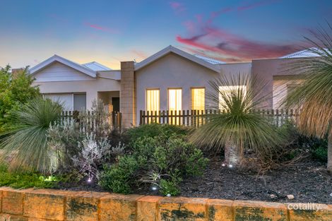 Property photo of 11 Sooty Lane Alkimos WA 6038