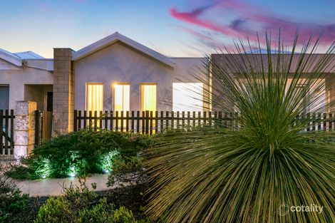 Property photo of 11 Sooty Lane Alkimos WA 6038