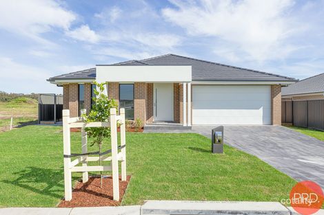 Property photo of 40 Sebonack Street Heddon Greta NSW 2321