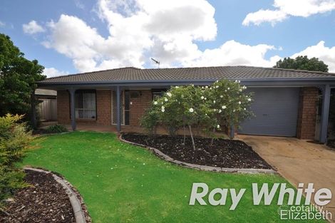 Property photo of 11 Stringbark Avenue Craigmore SA 5114