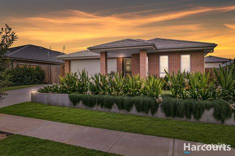 Property photo of 12 Snipe Street Fletcher NSW 2287