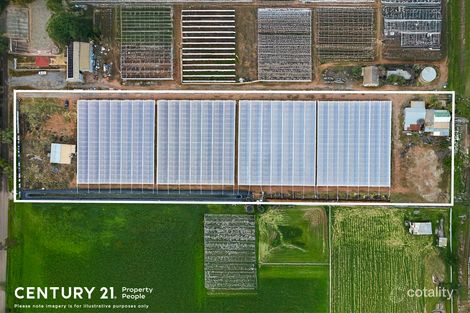 Property photo of 56 Rowland Road Virginia SA 5120