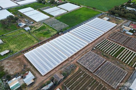 Property photo of 56 Rowland Road Virginia SA 5120