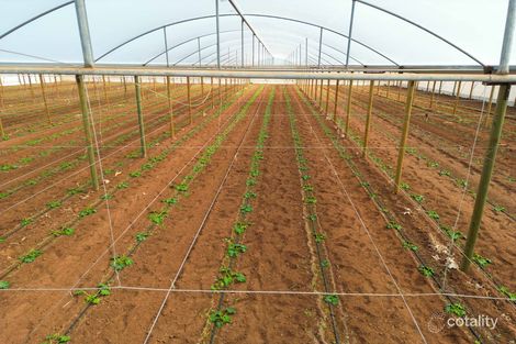 Property photo of 56 Rowland Road Virginia SA 5120