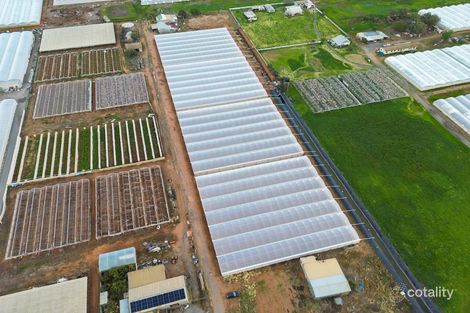 Property photo of 56 Rowland Road Virginia SA 5120