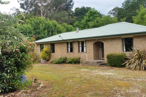 Property photo of 20 Mareeba Avenue Buxton VIC 3711