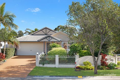 Property photo of 45 Fernleigh Crescent Mountain Creek QLD 4557