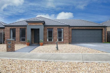 Property photo of 7 Kinkora Crescent South Morang VIC 3752