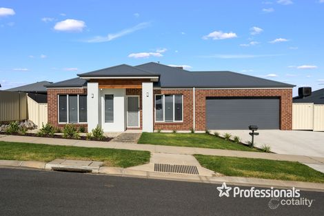 Property photo of 24 Lexcen Street Baranduda VIC 3691