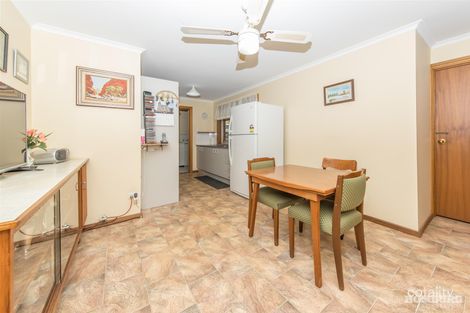 Property photo of 19 Para Avenue Nuriootpa SA 5355