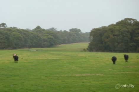 Property photo of 100 Maggios Road Barongarook VIC 3249