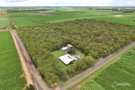 Property photo of 110 Burns Road Alloway QLD 4670