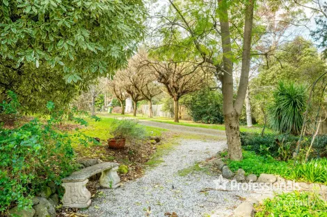 Property photo of 32 Wonga Road Millgrove VIC 3799