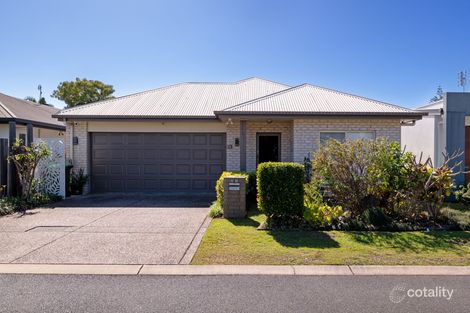 Property photo of 19 Pepper Tree Circuit Maroochydore QLD 4558