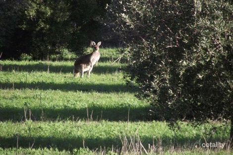 321 Olsen Rd, Howatharra, WA 6532