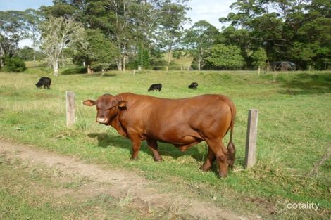 123 Williams Hill Rd, Yarranbella, NSW 2447